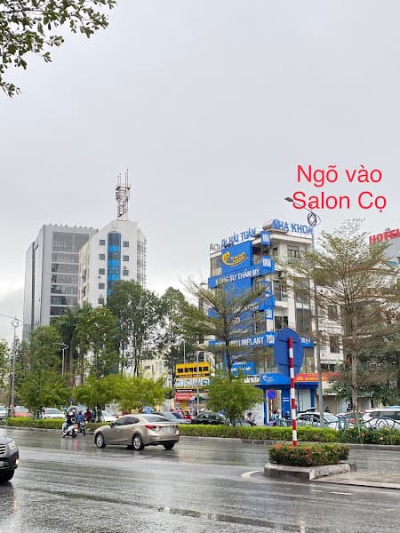 Hình ảnh King Pet Siêu Thị Chó Mèo - 3