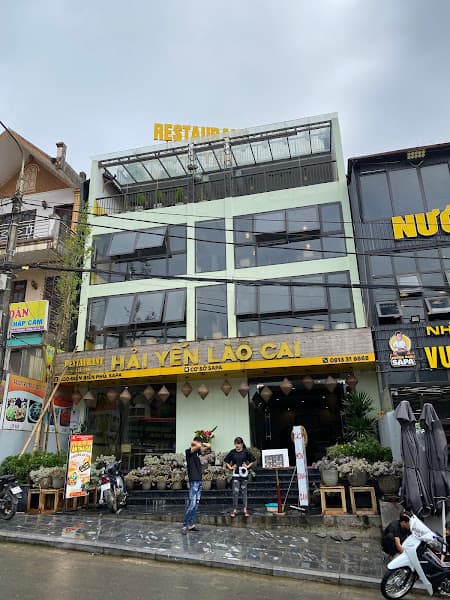Ảnh bìa Hải Yến Lào Cai