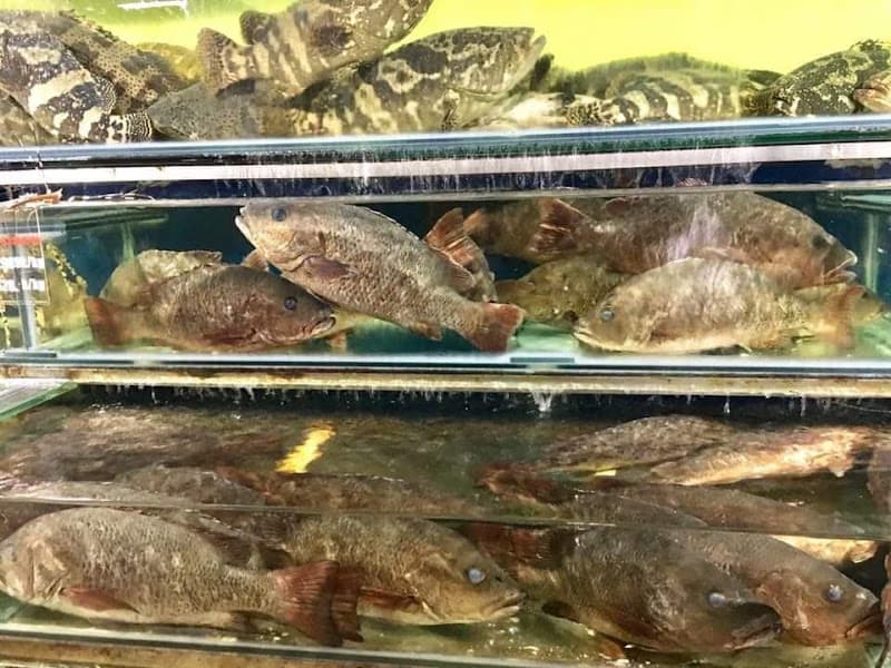 Hình ảnh Nhà hàng YẾN TÍN - 10