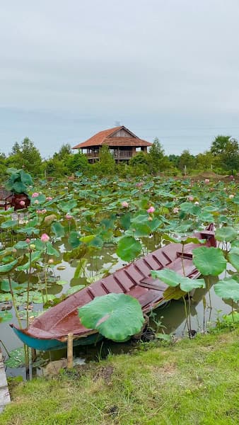 Hình ảnh Sen Coffee - 4