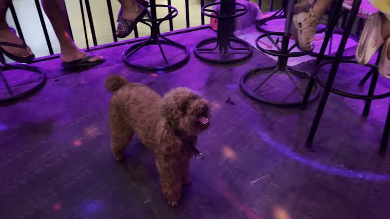 Hình ảnh Harbour Busbar - 7