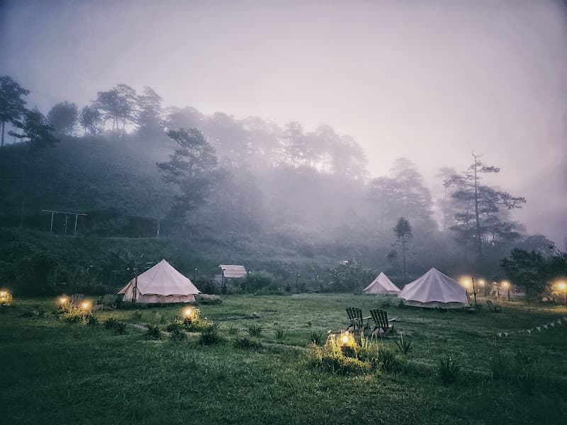Hình ảnh Dalat Camp - 5