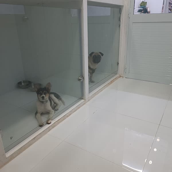 Hình ảnh YẾN NHƯ'S PET - 2