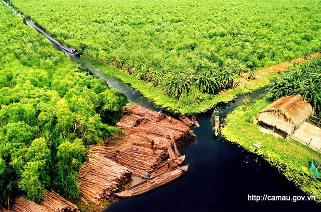 Hình ảnh Vườn Quốc Gia U Minh Hạ - 4