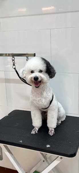 Hình ảnh Phòng mạch thú y PetPlus - Cần Thơ - 2