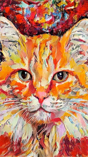 Hình ảnh Công Ty TNHH May và Thương Mại Việt Thành - 3