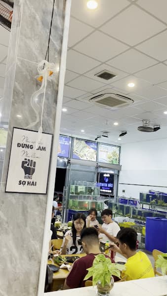 Hình ảnh Hải Sản Tươi Sống Thanh Hào - 2