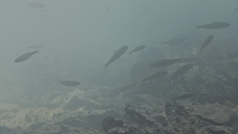 Hình ảnh Suối Lê Nin - 5