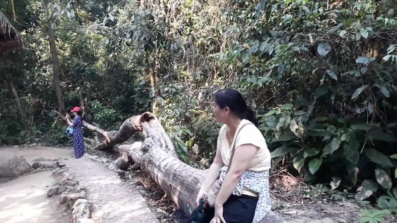 Hình ảnh Sở chỉ huy Chiến dịch Điện Biên Phủ - 3