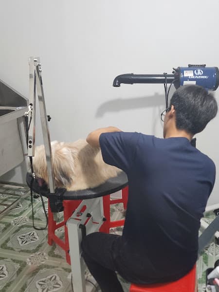 Hình ảnh Hường Thương Pet - 4
