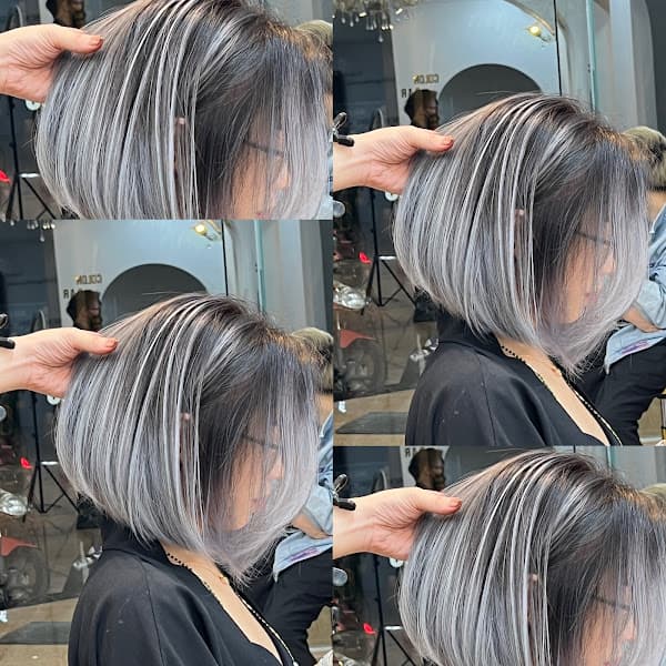 Ảnh bìa OHUISALON