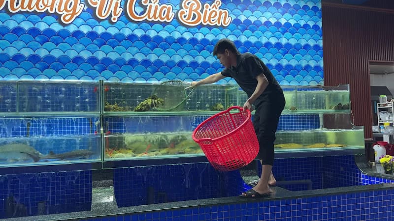 Hình ảnh Sao Biển Restaurant Cửa Lò - 2