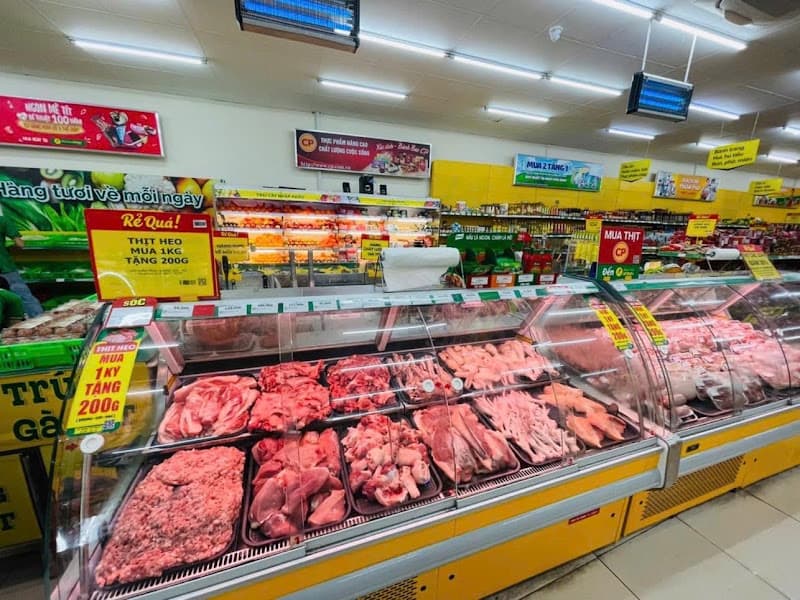 Hình ảnh Bách Hoá Xanh Nguyễn Vịnh - 7