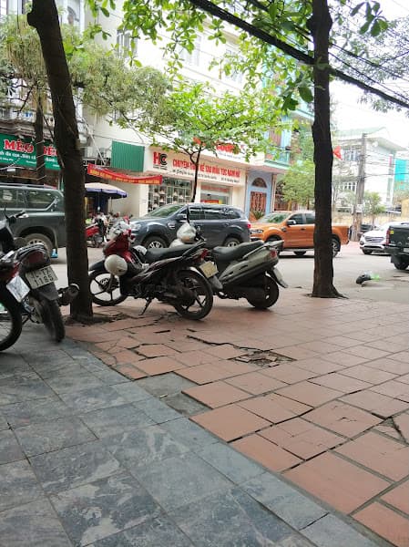 Hình ảnh Mèo Béo - 4