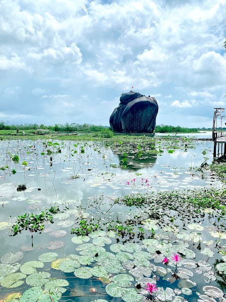 Hình ảnh Phú Điền Homestay - 2