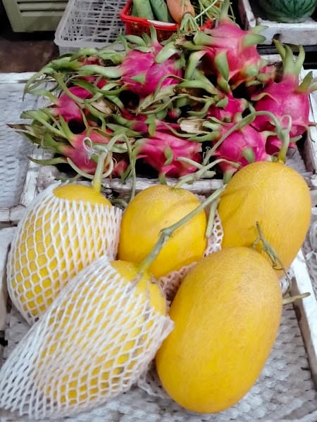 Hình ảnh Yến Sào Xuân Hương - 4