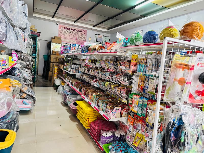 Ảnh bìa Mua bán chó mèo Buôn Ma Thuột - Boss Pet Shop BMT