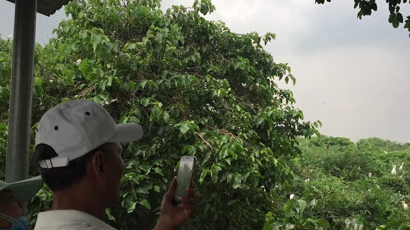 Hình ảnh Vườn Cò Bằng Lăng - 3