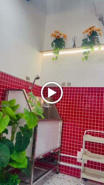 Hình ảnh Petshop Tom & Jerry 2 - 3