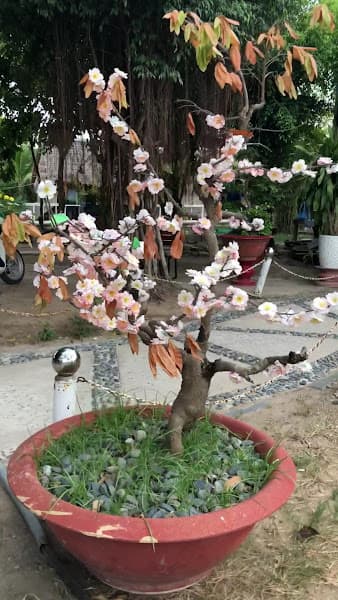Hình ảnh Nhà Hàng Thủy Mộc - 4