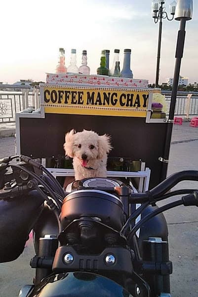 Hình ảnh Shop bán Chó - Mèo Rạch Giá - Kiên Giang - Duy Hoàng - 4