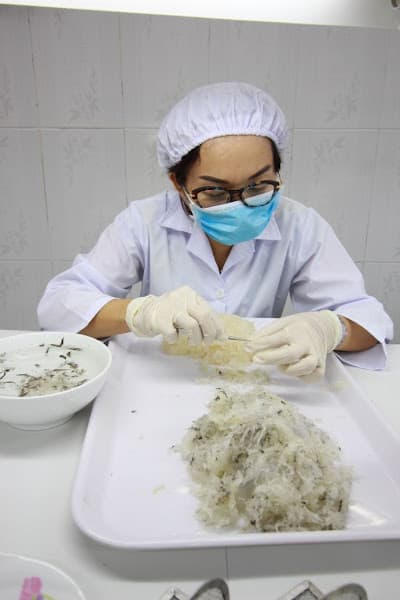 Hình ảnh Yến Sào Pimira - 3