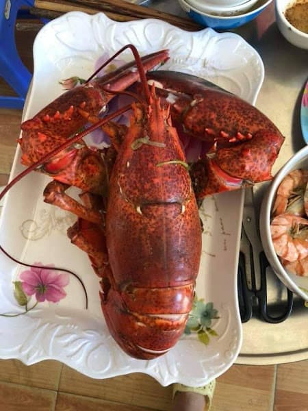 Ảnh bìa Hải Sản THUẬN LỢI