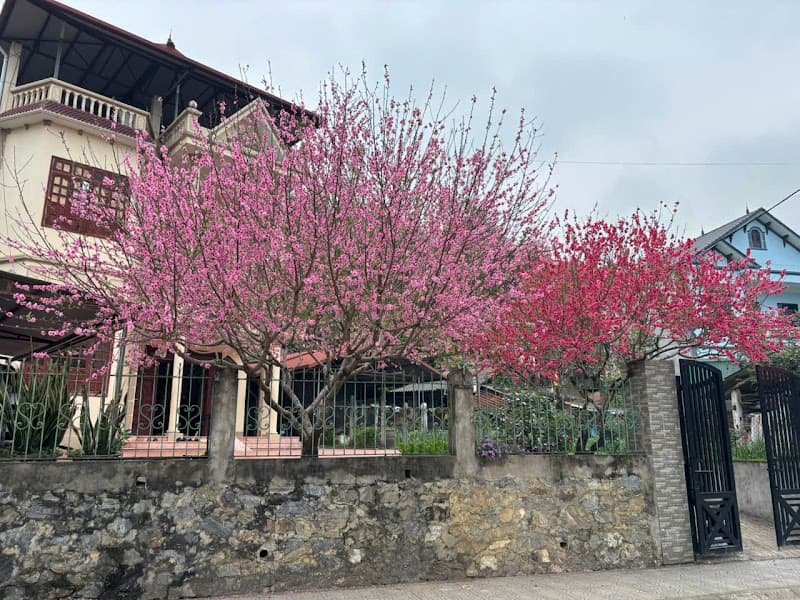 Hình ảnh Làng Bên Sông - 4
