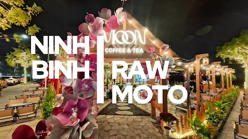 Hình ảnh Moon Coffee & Tea - Shan tuyết cổ thụ - Đậm vị - Nguyên bản - 5