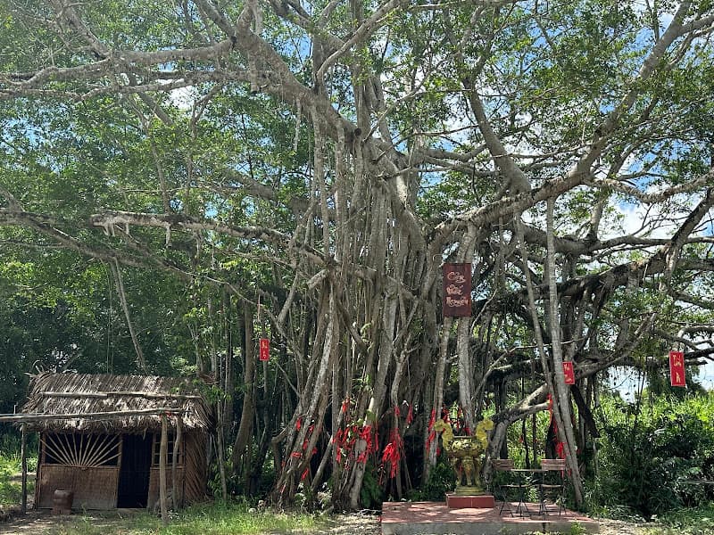 Hình ảnh Vườn Quốc Gia U Minh Hạ - 3