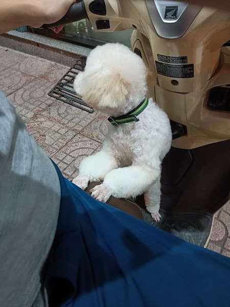 Hình ảnh Phòng khám thú y Ninh Bình - 4