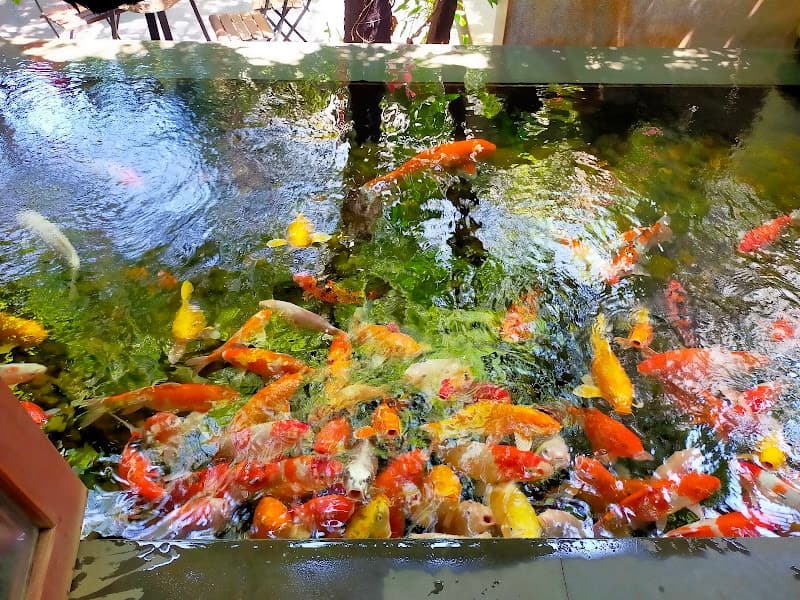 Hình ảnh Bun coffee - 3