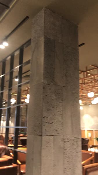 Hình ảnh Phúc Long Hoàng Đạo Thúy - 3