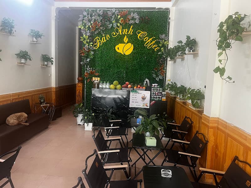 Ảnh bìa Bảo Anh coffee