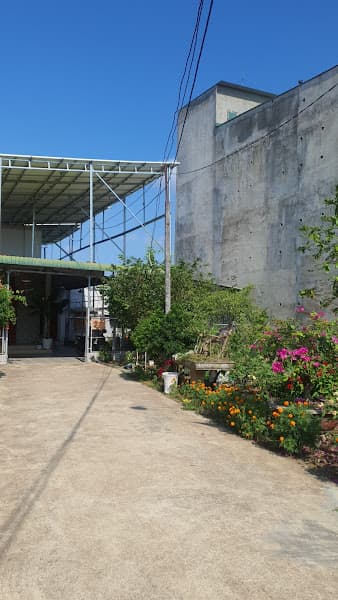 Hình ảnh Yến sào Nhân Trần - 4