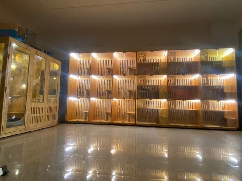 Hình ảnh Yuki Petshop - 2