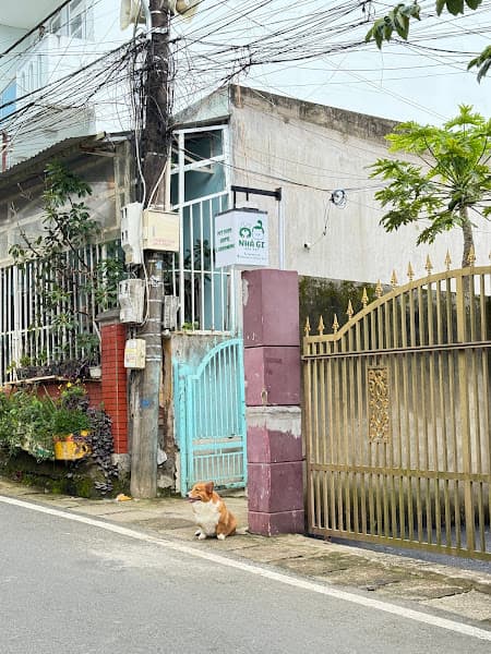 Hình ảnh Nhà Gi Pet - Spa & Hotel - 4
