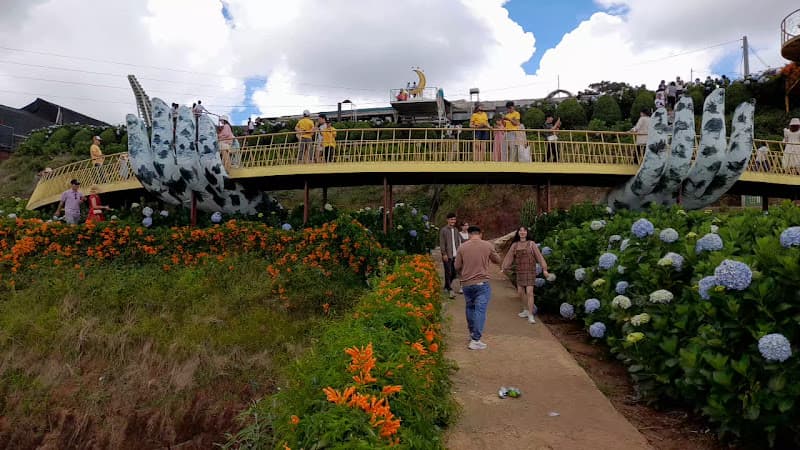 Hình ảnh Vườn Hoa Cẩm Tú Cầu - 4