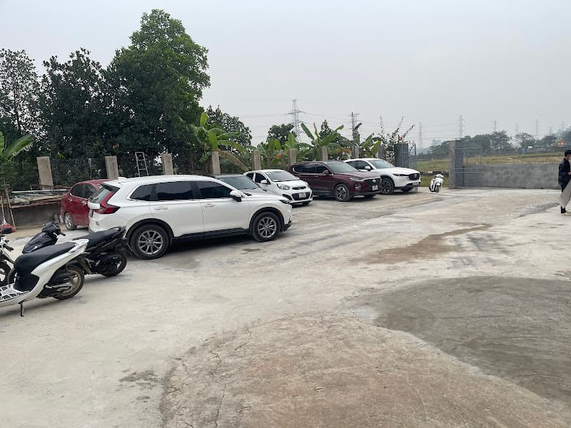 Hình ảnh Pickleball T&T - 5