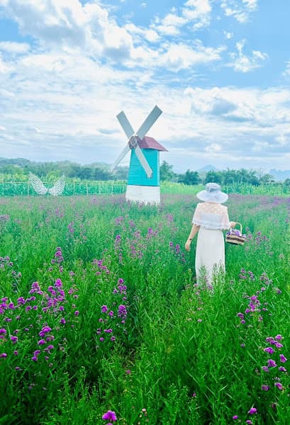 Hình ảnh Vườn hoa Hờ Dờ Tờ - 2