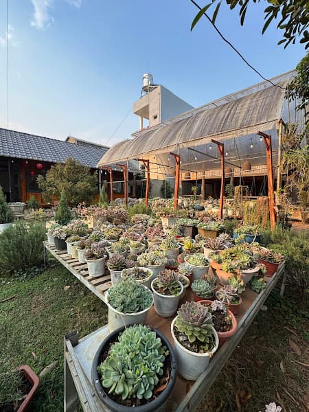 Hình ảnh Chill Kafe Mai Sơn - 3