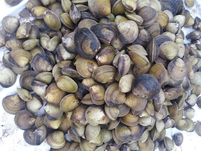 Hình ảnh Karaoke Thanh Thảo - 3