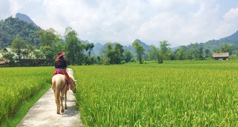 Hình ảnh An's homestay - 5