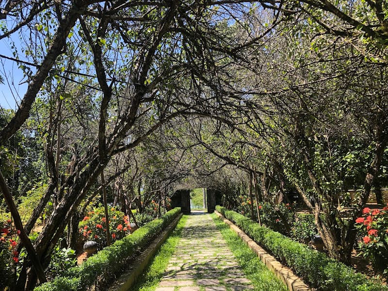 Hình ảnh Nhà vườn An Hiên - 5