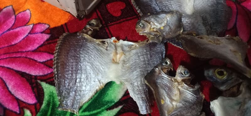 Hình ảnh Quán Rượu Coc Duong - 2