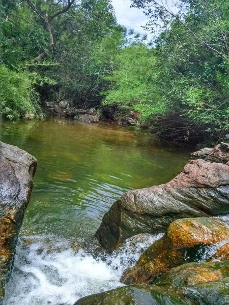 Hình ảnh Suối Trúc - 3