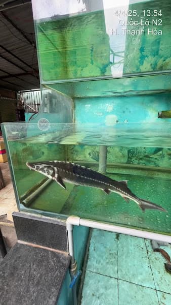 Hình ảnh Quán ăn Gia Đình ÚT BI - 6