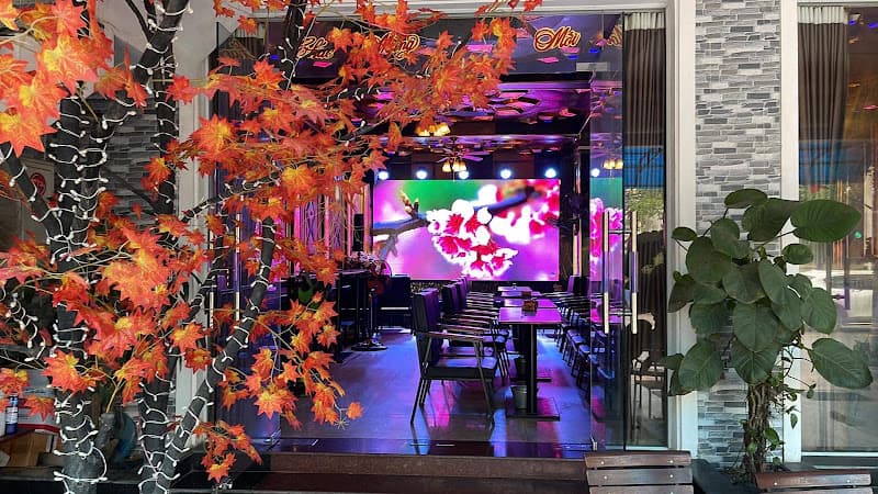 Hình ảnh Phòng trà cafe bolero - 2