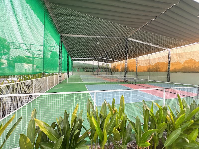 Hình ảnh HV Pickleball Club - 6