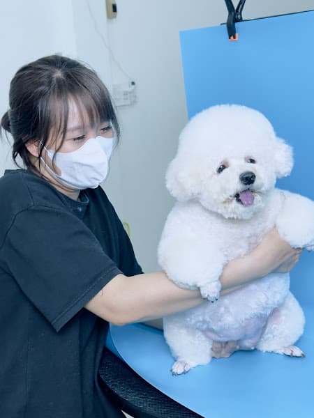 Hình ảnh Dog&Cat - 3